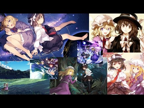 動画