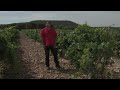 Abadía Retuerta - Petit Verdot