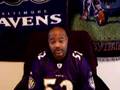 Ravens-on-Cam-2007-0