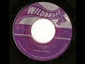 lloyd clarke - face man - wildbells...enjoy !!