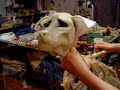Ear mechanism for a dog Ear mechanism for a dog