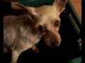 Parto de mi aida yorki 