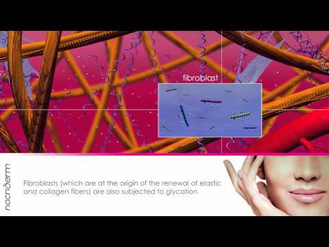 how to isolate fibroblasts from the skin