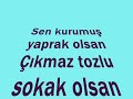 Ellerini Ver Hayat?m Ellerini Ver Hayat?m