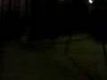 videos de Chain Gang Of Zps Picnic
