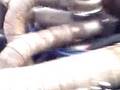 videos de turbo mustang w/t carb...