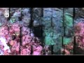 Italy - Mosaic of Culture - PUGLIA