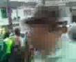 videos de Mancha Verde !!