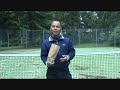 Game. Set. Life. - Peak Performance for Sports and Life