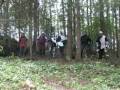 The Men Of Furnes Forrest