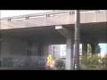 videos de running free.m4v