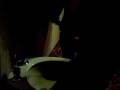 videos de un bidet au Domaine...