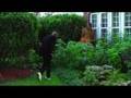 LeE HARVeY OsMOND-Blades of grass