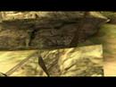 Lost (The Movies)