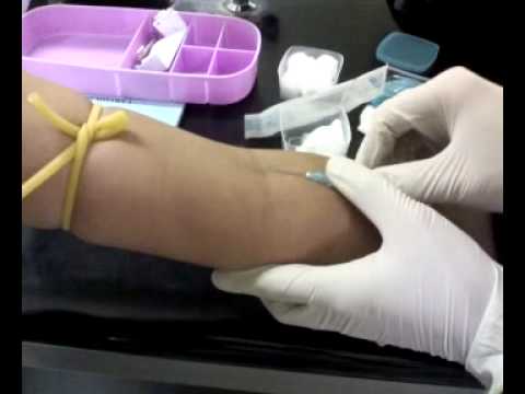 how to collect blood sample
