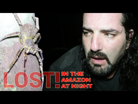 YouTube reptile video