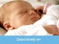 En el vientre materno - 11/11