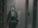 start of game and fragroom battle.wmv start of game and fragroom battle.wmv