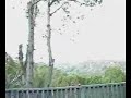 Lightning Strikes Tree Lightning Strikes Tree