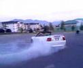 Stang Burnout