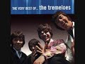 Here Comes My Baby- The Tremeloes- 1967