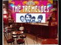 fun groove written by cat stevens.this song always was fun.lookng at romance very cynically which is the proper way to go.the girl who says go in the back before they go into the chorus is great.marvelous feel good song tremeloes. thanks for the fun