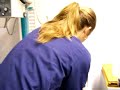Papillion Goes for her OFA cert.part 1 Good w/normal elbows!