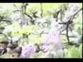 The Beatles-Paperback Writer