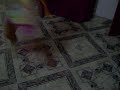brisa se callo :o