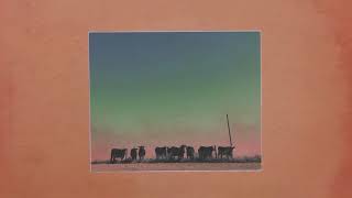 Khruangbin - Lady and Man tekst piosenki