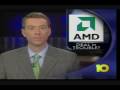 AMD vs Intel Luther Forest