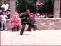Large Red Fist (Da Hong Quan)