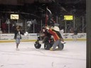BERNIE OF THE SUNDOGS BERNIE OF THE SUNDOGS