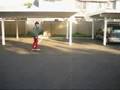 Funny Video Drunk Girl Knockout