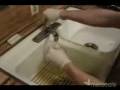 Como hacer agua fluorescente