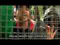 videos de Dwayne Tryumph - I Don't Pack A Mattic [Spanish Sub]