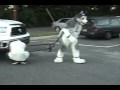 Shortwave Truck Pull