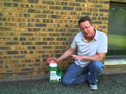 how to replant grass in bare spots