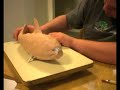 Sculpting a Shark out of Clay Sculpting a Shark out of Clay