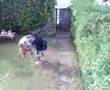 videos de Tramisima en casa de rita
