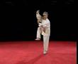 Chen Taijiquan Applications (Ma Hong)- Part 1