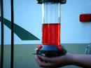 Hummingbirds
