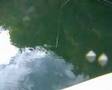 Vikedal 2007 part 4