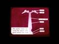 Flowers and Plant Reproduction (The Film)