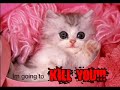 Very Funny Cats Part 6