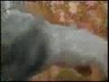 FROZEN OUT: Jan. '07 freeze & the farm workers it affected