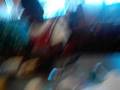 videos de Fun day (2)