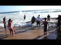 videos de P1000814.MOV