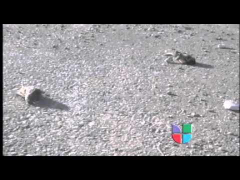 See video