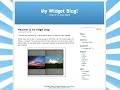 What are Web Widgets? (1/5)
